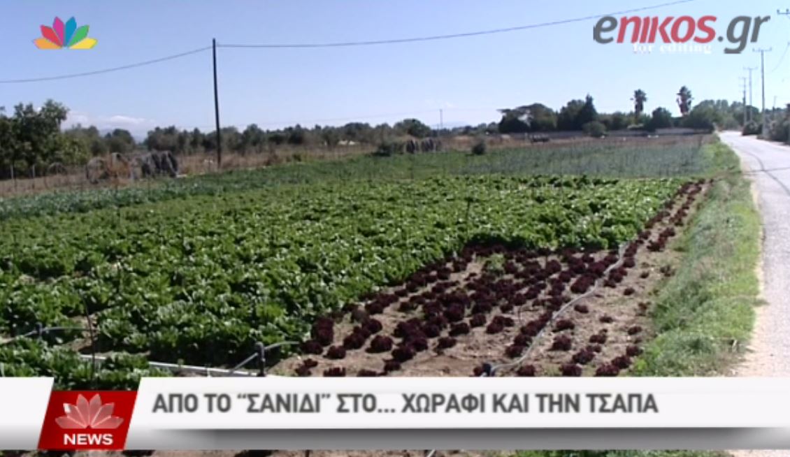 ΒΙΝΤΕΟ-Ποιος ηθοποιός έγινε… αγρότης;