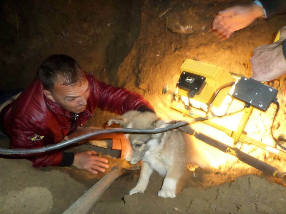 ΦΩΤΟ-Επιχείρηση διάσωσης κουταβιών στην Καρδίτσα