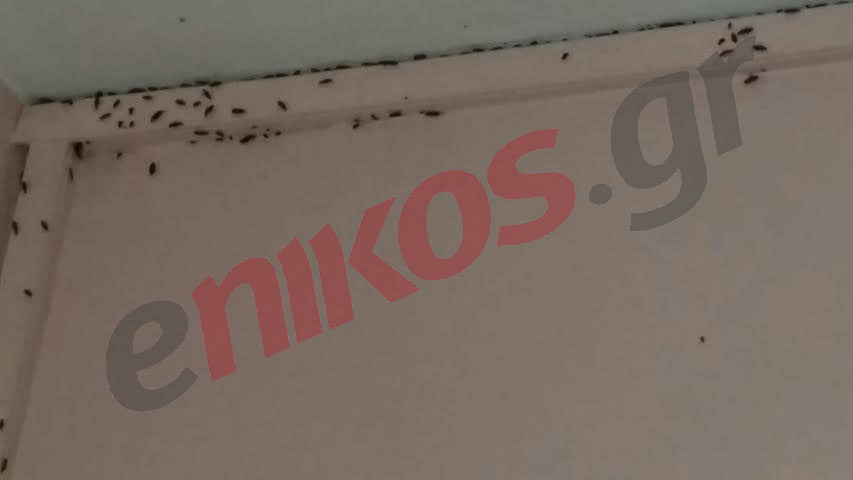 ΒΙΝΤΕΟ-Τίποτα δεν άλλαξε στο “κολαστήριο”-Νέες συγκλονιστικές εικόνες