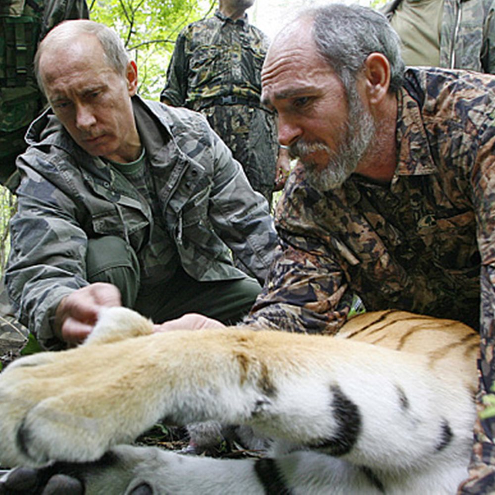 Η τίγρης του Πούτιν κατασπάραξε σκυλάκι- ΒΙΝΤΕΟ