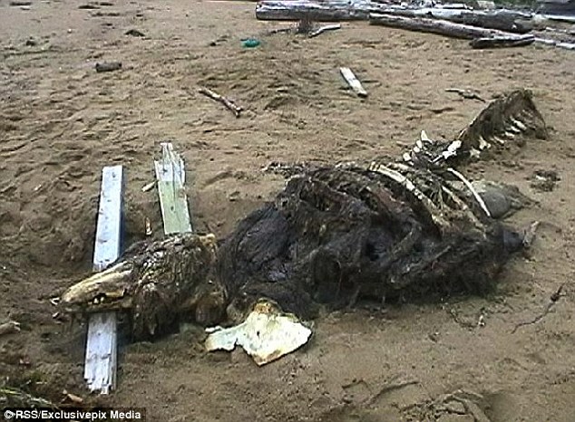 ΦΩΤΟ-Σκελετός μυστήριο βρέθηκε στη Ρωσία