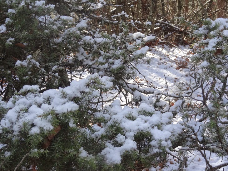 Στα λευκά η Χαλκιδική