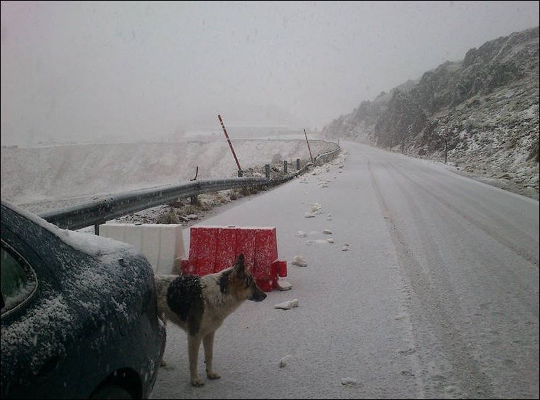 Χιονίζει στον Παρνασσό- ΦΩΤΟ