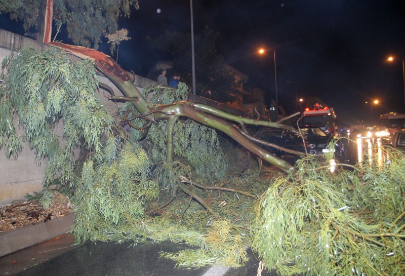 Περισσότερες από 100 κλήσεις στην Πυροσβεστική