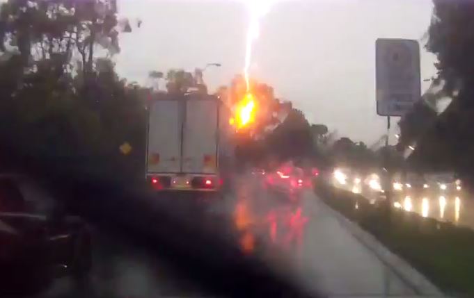 Ο κεραυνός χτύπησε το δέντρο και όχι τα αυτοκίνητα – ΒΙΝΤΕΟ