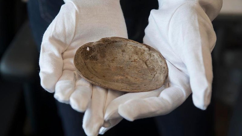 ΦΩΤΟ-Το αρχαιότερο έργο τέχνης