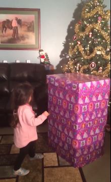 Το καλύτερο δώρο Χριστουγέννων! – ΒΙΝΤΕΟ