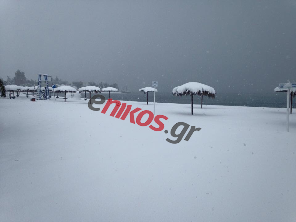 Το χιόνι άγγιξε τη θάλασσα – ΦΩΤΟ