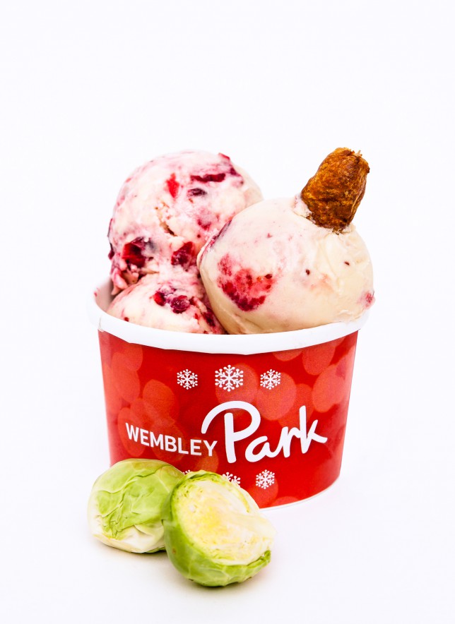 Χριστουγεννιάτικο παγωτό με γεύση… γαλοπούλας – ΦΩΤΟ