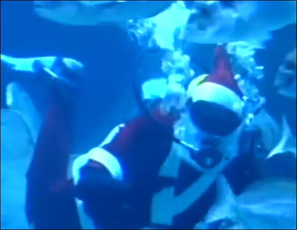 ΒΙΝΤΕΟ-Ο Άγιος Βασίλης μπήκε στο ενυδρείο