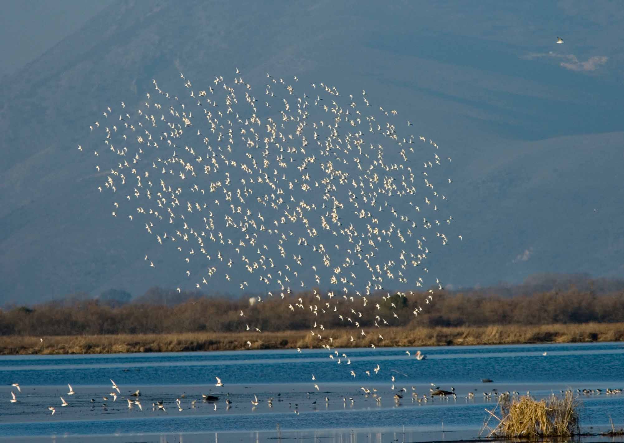 ΦΩΤΟ-Παγίδα είχαν στήσει σε υπηρεσιακό αυτοκίνητο