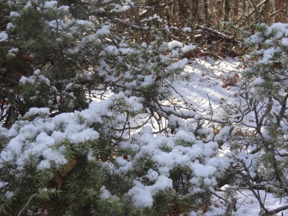 Που χρειάζονται αντιολισθητικές αλυσίδες στην Περιφέρεια Δυτικής Μακεδονίας