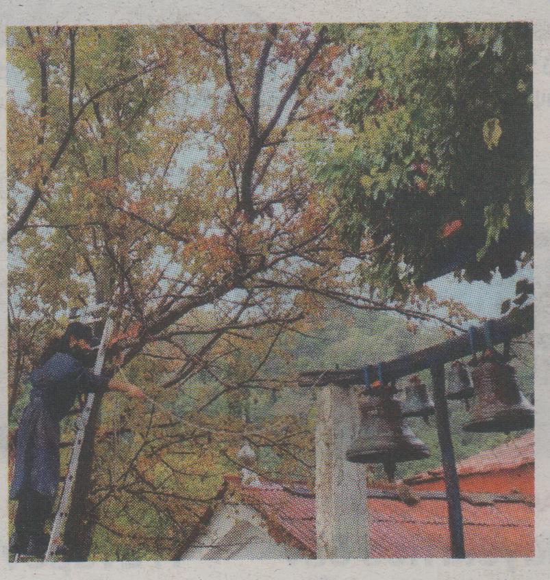 “Ανασταίνουν” ιστορικό κελί του Αγίου Όρους – ΦΩΤΟ