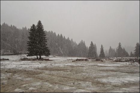 Χιονόπτωση στο Περτούλι Τρικάλων – ΒΙΝΤΕΟ