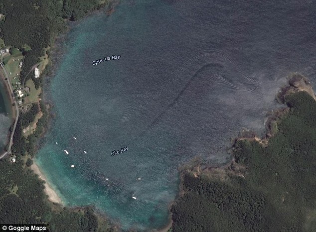 Το θαλάσσιο “τέρας” που κατέγραψε το Google Earth – ΦΩΤΟ