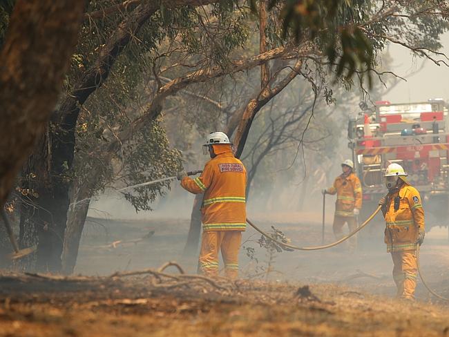 Warm and windy ... The temperature has cooled a couple of degrees today, but firies are s