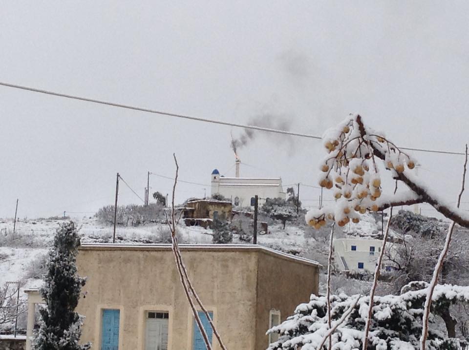 10912889_325794010959644_1882502388_n