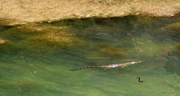 Ποιοι θα βουτήξουν για τον σταυρό στα νερά του Σήφη – ΒΙΝΤΕΟ