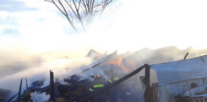 Φωτιά κατέστρεψε κτηνοτροφική μονάδα – ΦΩΤΟ – ΤΩΡΑ