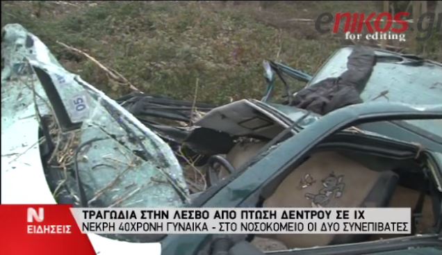 Νεκρή 40χρονη από πτώση δέντρου – ΒΙΝΤΕΟ