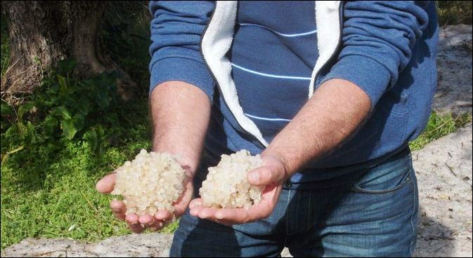 Το χαλάζι ισοπέδωσε τον κάμπο της Ηλείας – ΦΩΤΟ