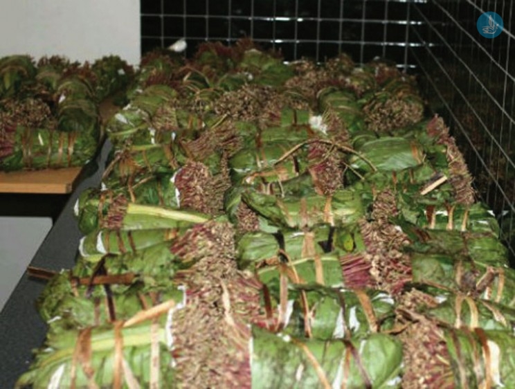 Κατασχέθηκαν στη Ρόδο 110 κιλά του ναρκωτικού “ΚΗΑΤ”