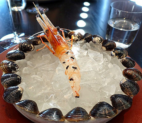 Γνωστό εστιατόριο σερβίρει ζωντανά μυρμήγκια – ΦΩΤΟ