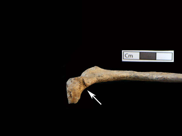 Ποιος είναι ο δολοφόνος της Αμφίπολης; – ΦΩΤΟ