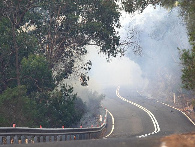 Smoke billows onto a road at Cudlee Creek in South Australia on Saturday. Picture: Phil W