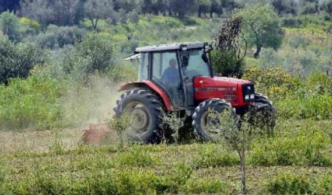 Φόρος με 13% συντελεστή για τους αγρότες