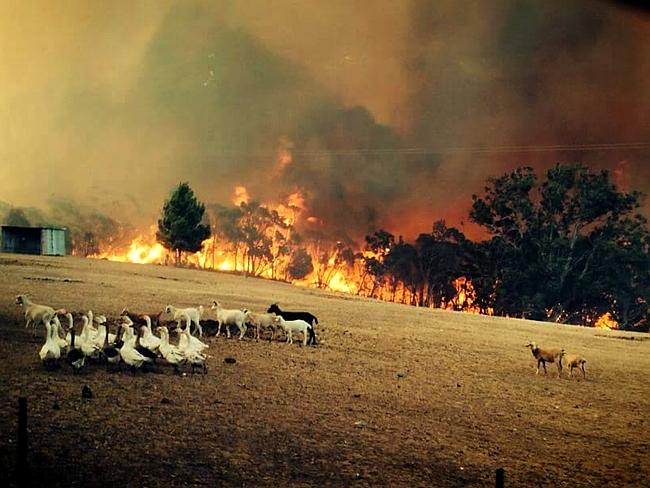 Fires destroy homes in SA, Vic