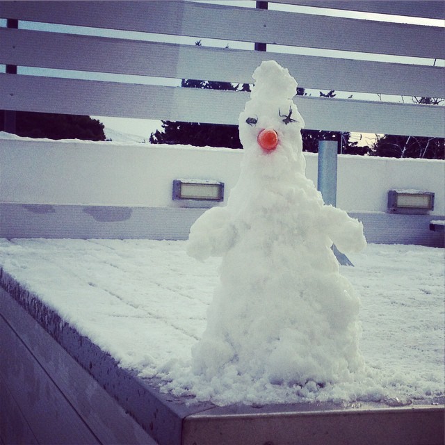 Ποιας παρουσιάστριας ο γιος έφτιαξε αυτό τον χιονάνθρωπο;