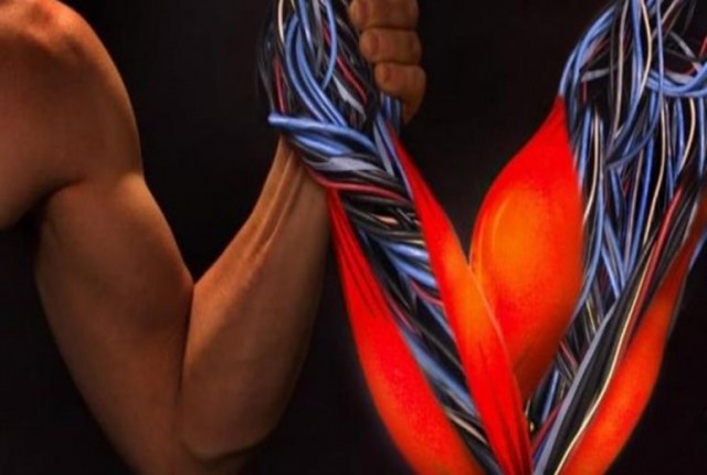 Μύες- Τρόποι για να τους χτίσουμε άμεσα και γρήγορα