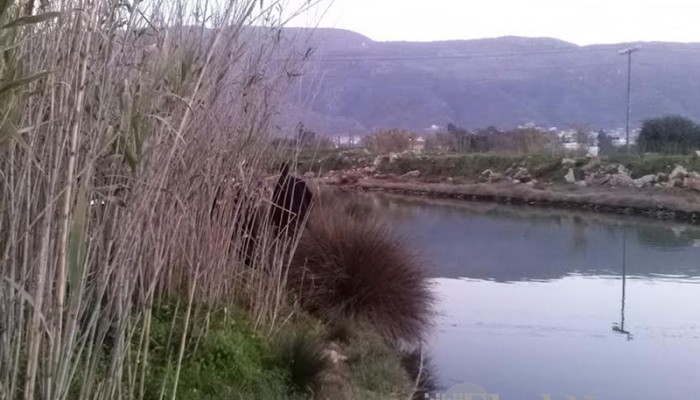 Νεκρή γυναίκα εντοπίστηκε σε ποταμό