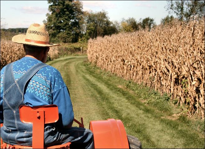 Ο εκατομμυριούχος αγρότης που επιδοτήθηκε με πλαστά τιμολόγια