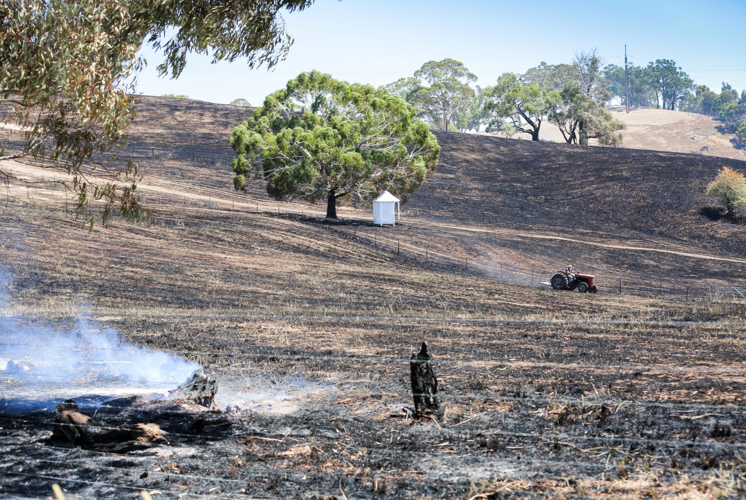 Αυστραλία- Παραμένει εκτός ελέγχου η φωτιά – ΦΩΤΟ