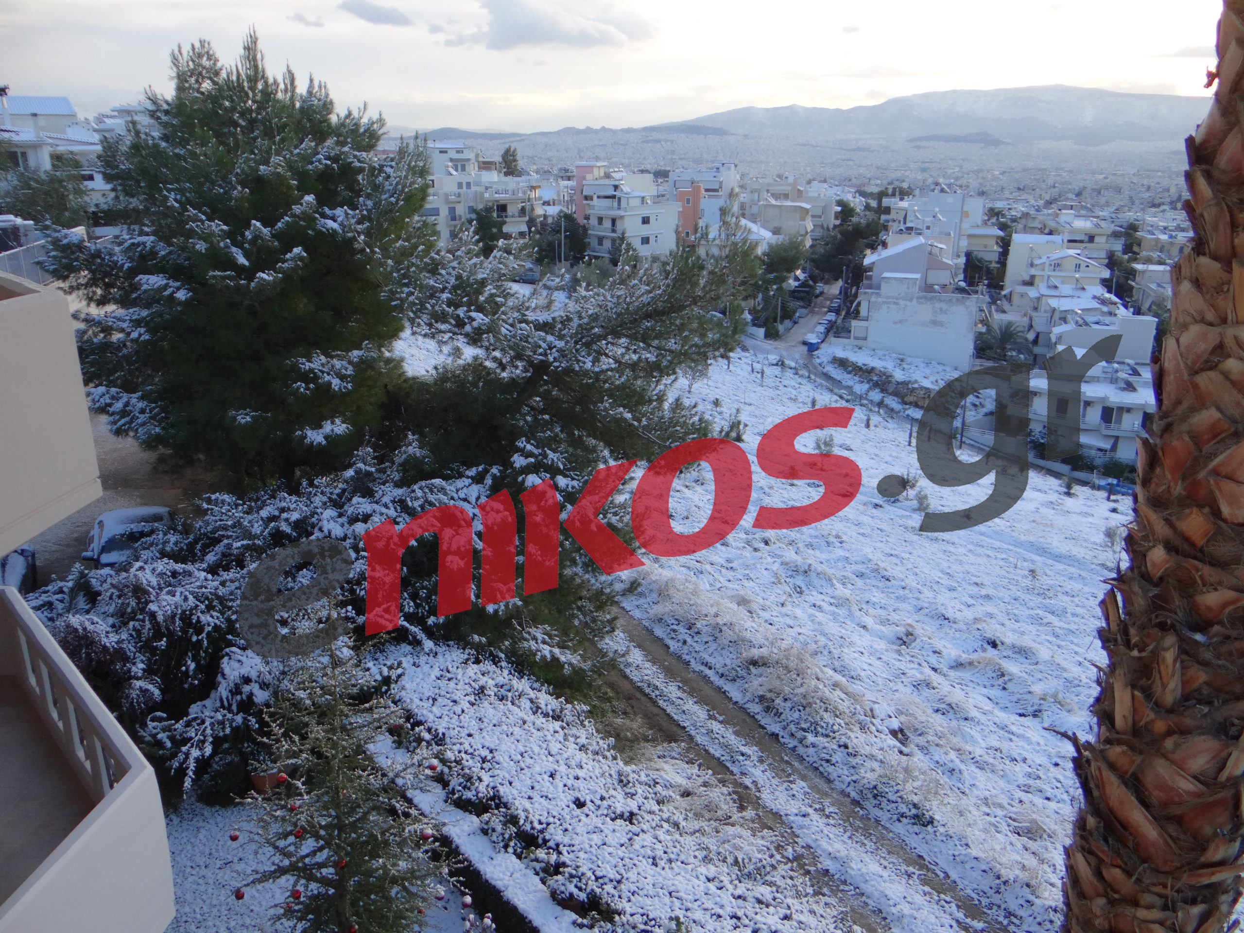 Το έστρωσε στο Δάσος Χαϊδαρίου – ΦΩΤΟ