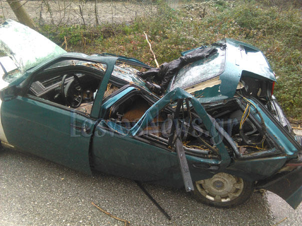 Δέντρο έπεσε από τον αέρα και καταπλάκωσε ΙΧ – ΦΩΤΟ – ΒΙΝΤΕΟ