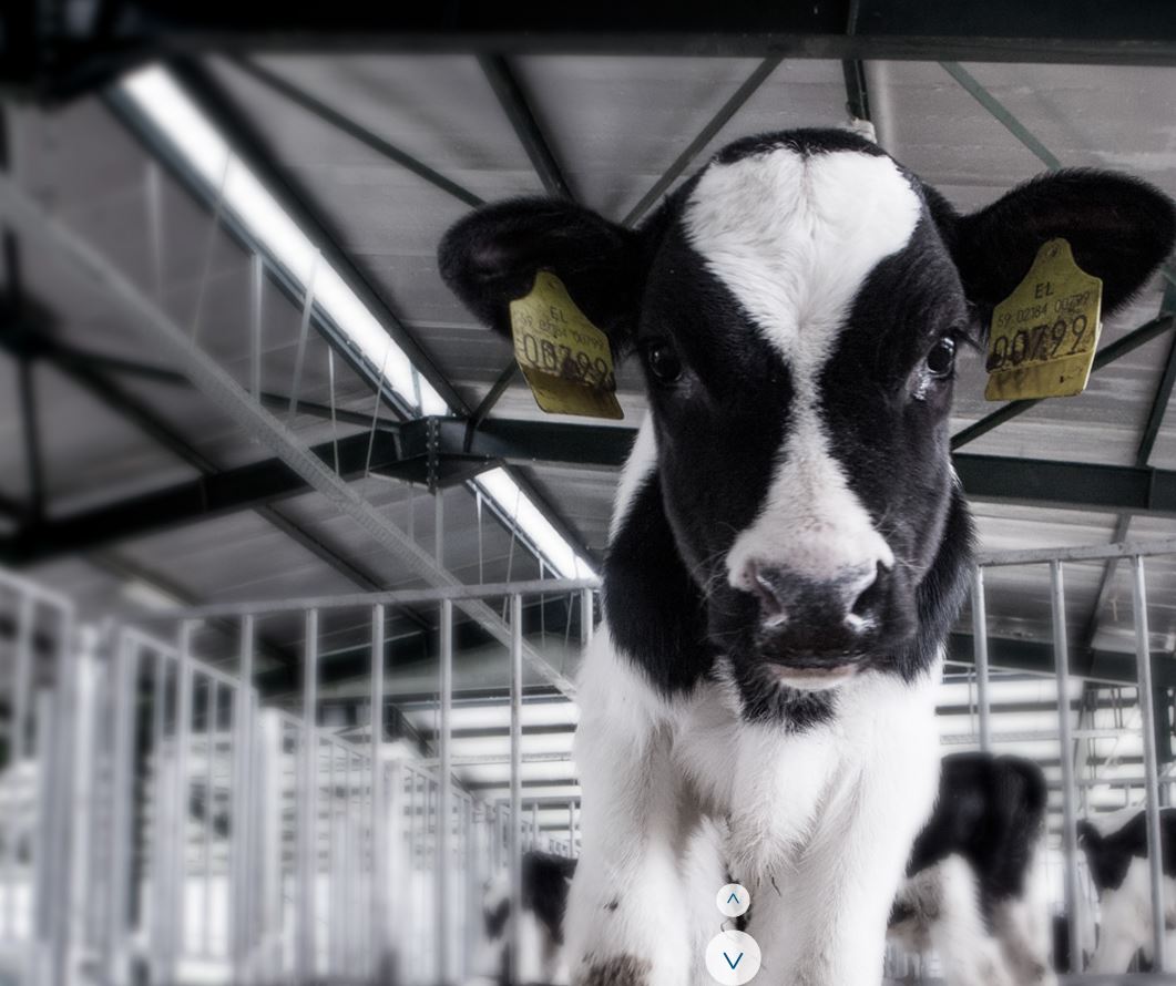 Λογισμικό για βοσκούς του … “καναπέ”