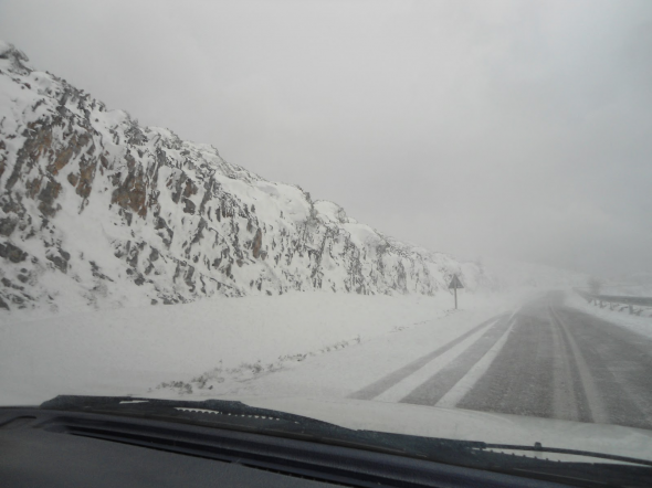 Ζημιές σε ελαιοκαλλιέργειες κι εσπεριδοειδή στην Πελοπόννησο από την κακοκαιρία