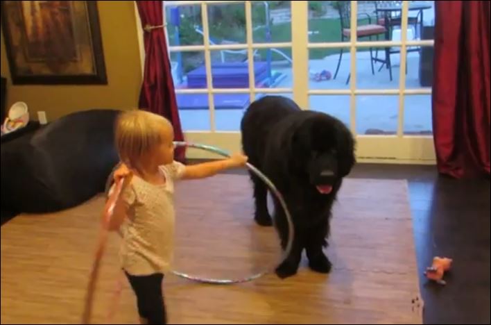Θέλει να μάθει στον σκύλο… χούλα χουπ – ΒΙΝΤΕΟ