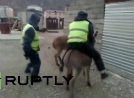 Το γαϊδουράκι… εκδικήθηκε τον αστυνομικό – ΒΙΝΤΕΟ