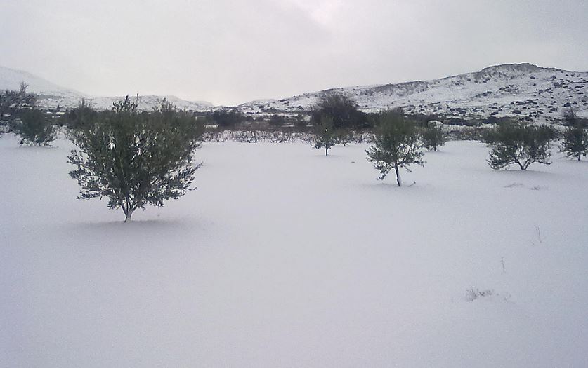 Επί 4 ημέρες εγκλωβισμένοι