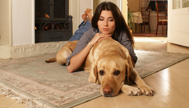 Πως να απαλλαγείτε από τις τρίχες του σκύλου;