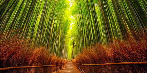 perierga.gr - Σκηνικά ταινιών που είναι αληθινά!