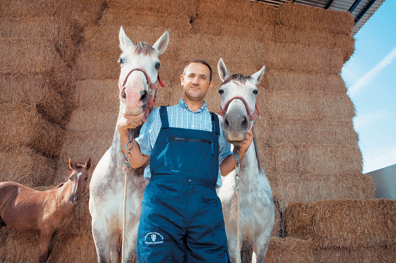 Επένδυση σε… γίδες και γαϊδούρια
