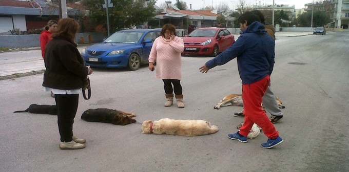 Γέμισαν το Βόλο με φόλες