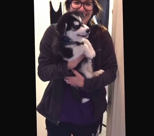 Το κουτάβι που βγάζει ανθρώπινες κραυγές – ΒΙΝΤΕΟ