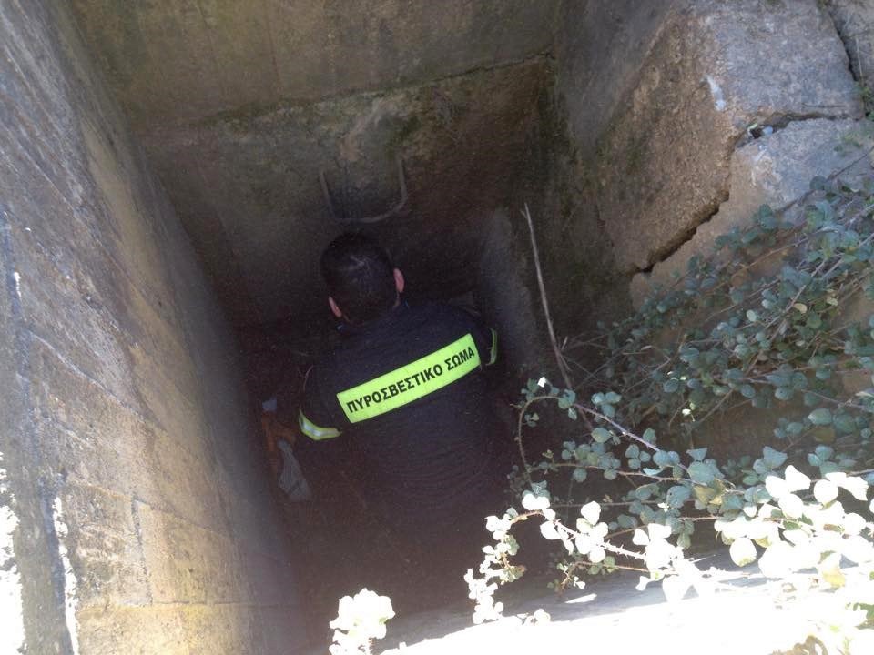 Έδεσε και πέταξε σε φρεάτιο σκυλάκι – ΦΩΤΟ