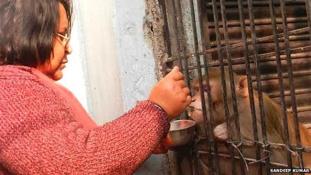 Άτεκνο ζευγάρι έχρισε κληρονόμο έναν … πίθηκο